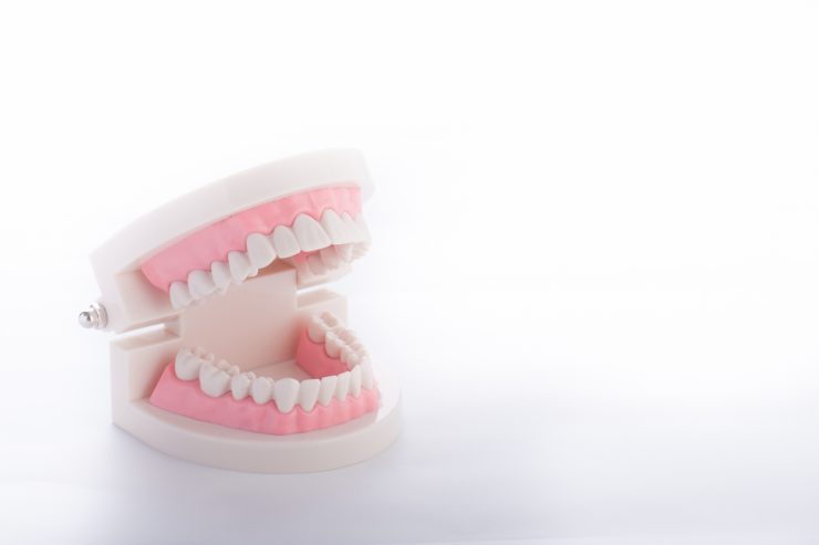 歯を失ってしまったときの修復方法にはどんな選択肢があるの？
